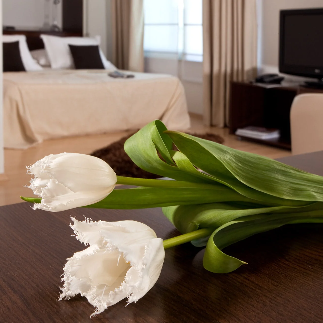 Villa A9nette Classic Suite 009